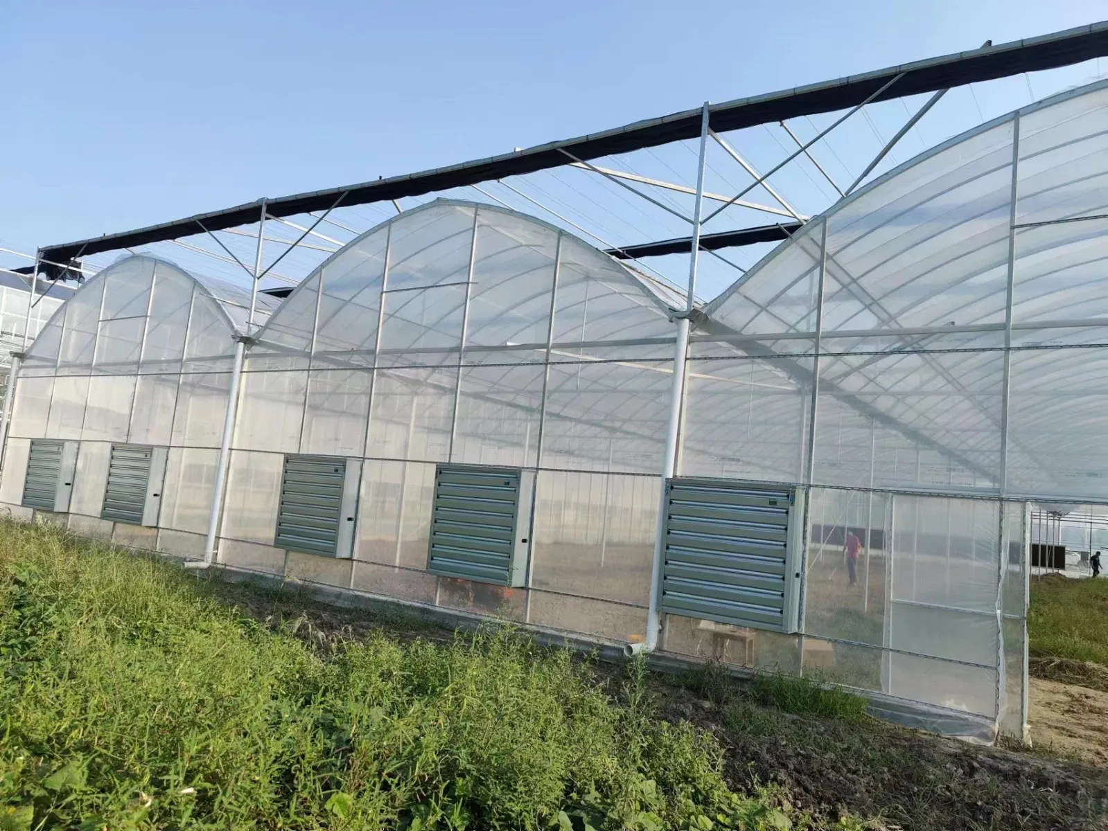 Glass Greenhouse, Smart Greenhouse, Film Greenhouse, Film Greenhouse Structure