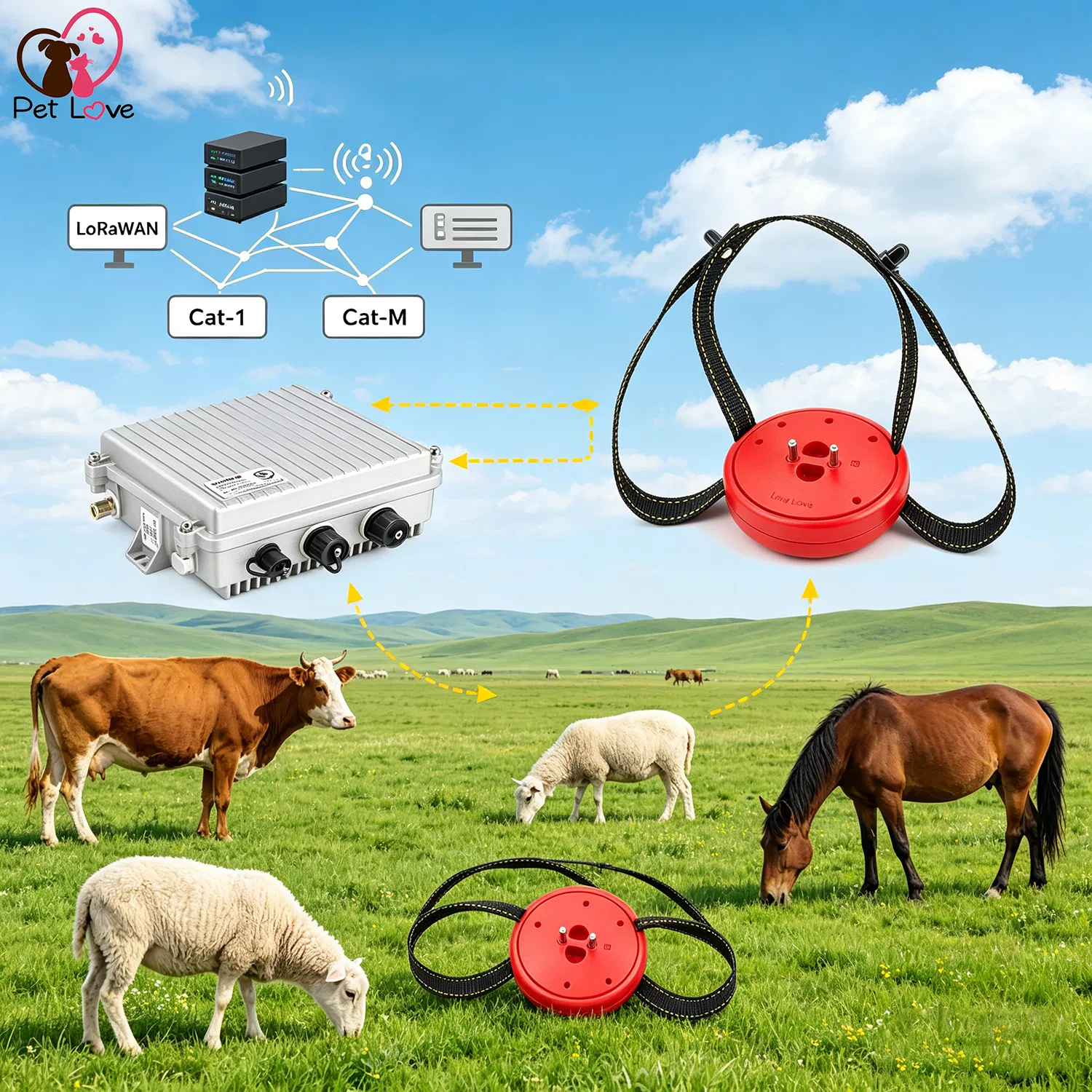 Real Time Animal Monitoring