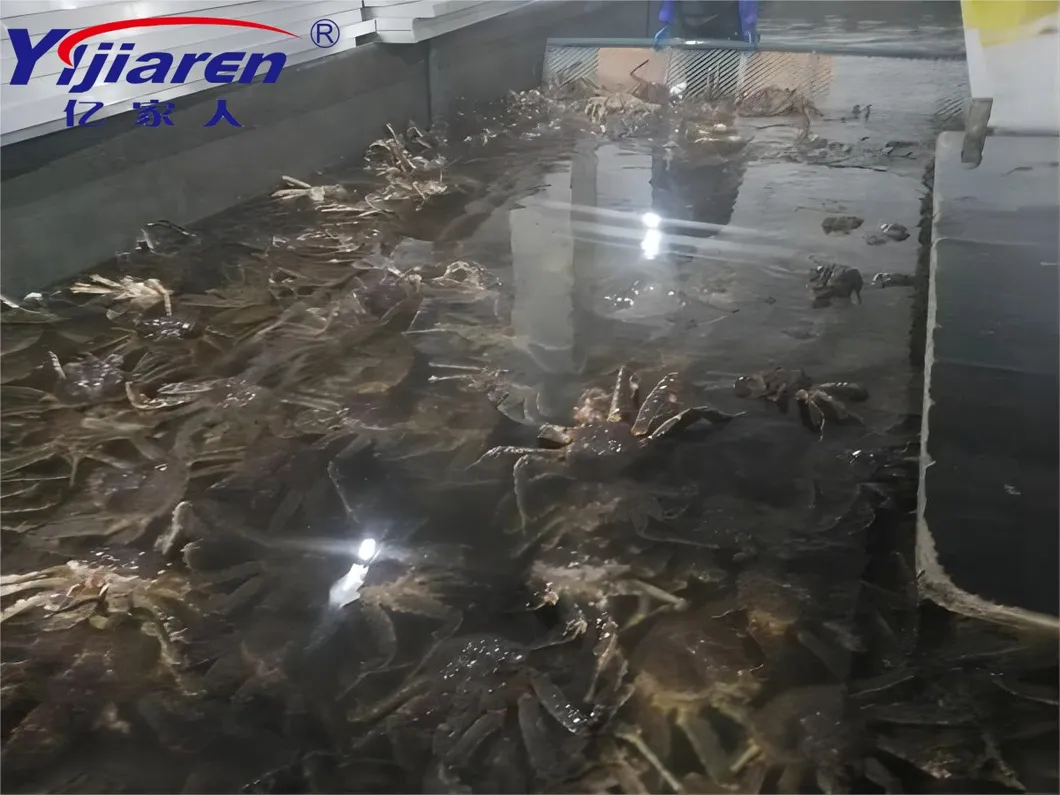Project Case 1