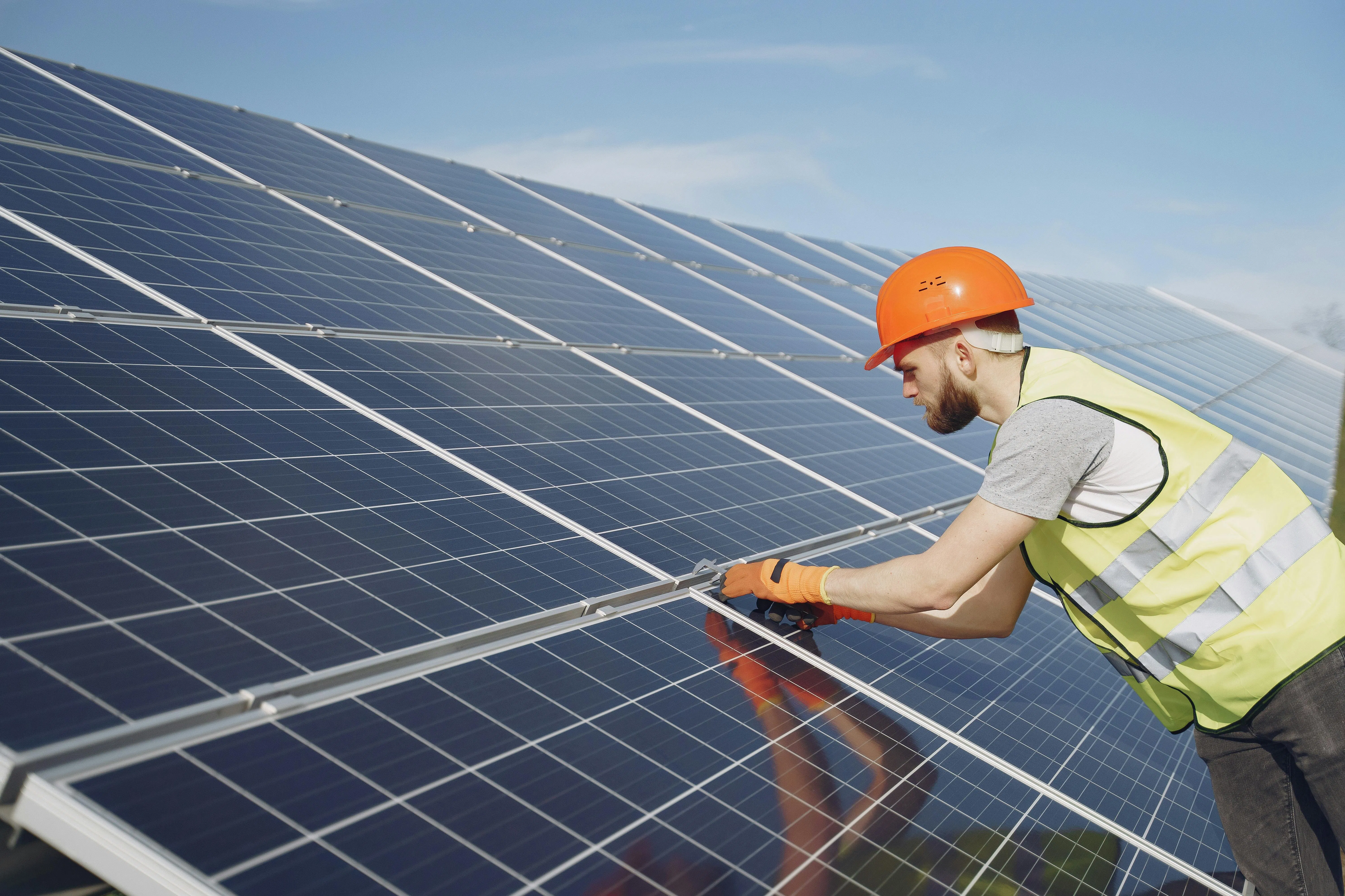 Reliable on-Grid Solar Power Solutions for Poultry and Layer Farms