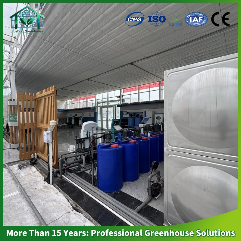 Complete Turnkey Project: Hydroponic Film Greenhouse for Bell Pepper Production