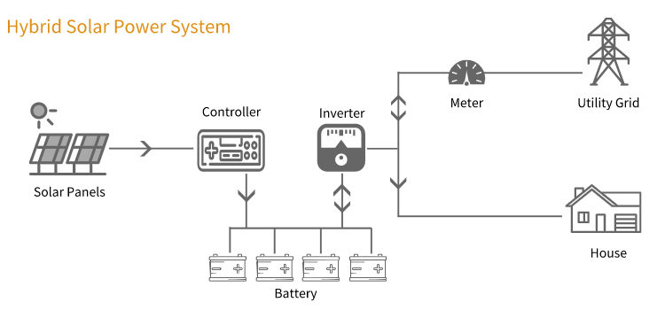 Detailed Images Overview