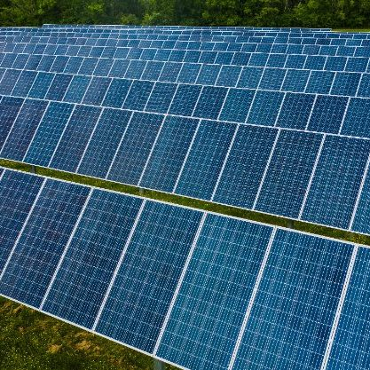 Reliable on-Grid Solar Power Solutions for Poultry and Layer Farms
