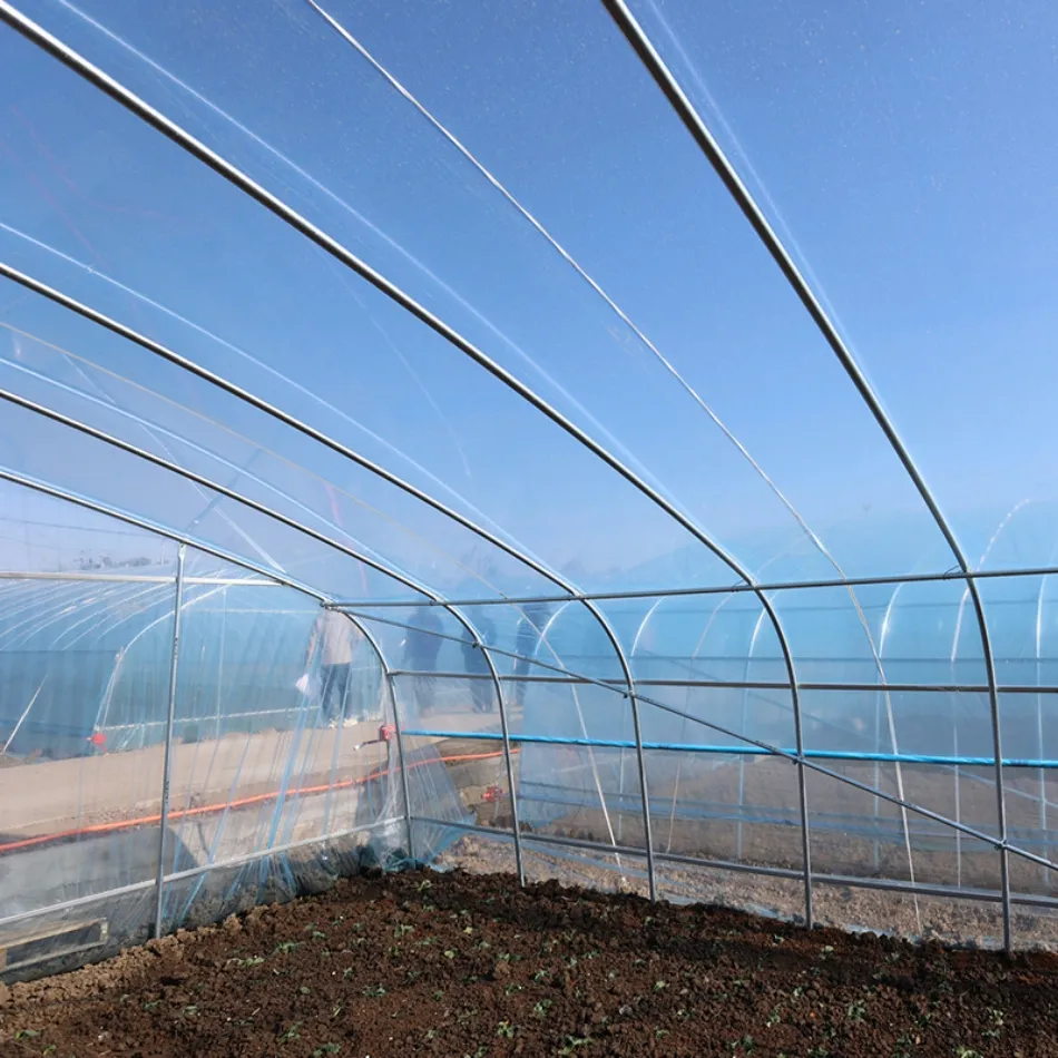 Single span greenhouse