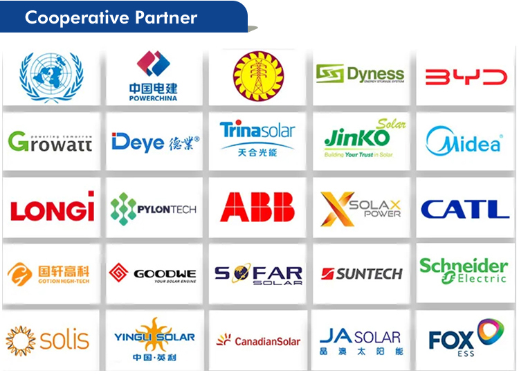 Cooperative Partners