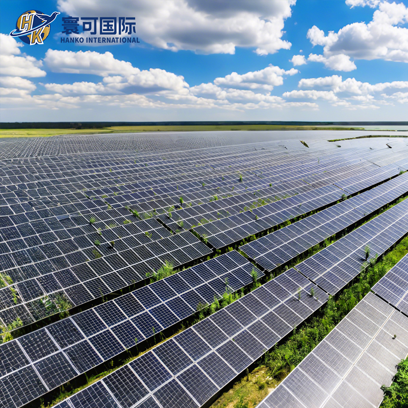 Eco Friendly Elevated Solar Structure Designed for Woodland Energy Projects Forestry PV Complementary Mounting System