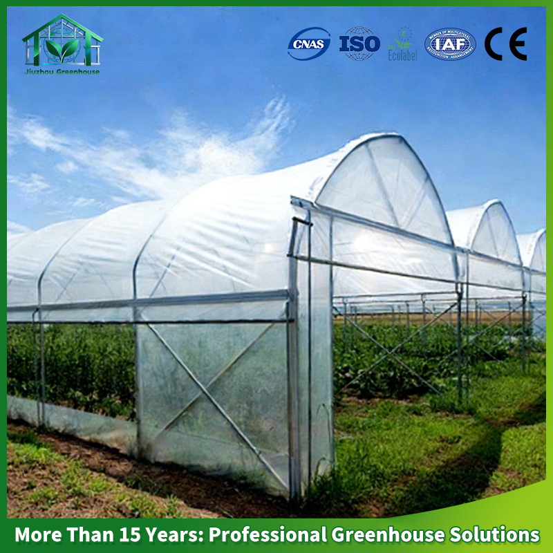 Complete Turnkey Project: Hydroponic Film Greenhouse for Bell Pepper Production