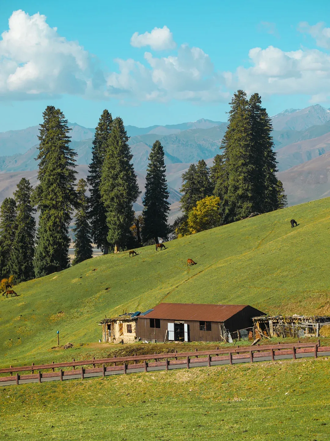 Farm