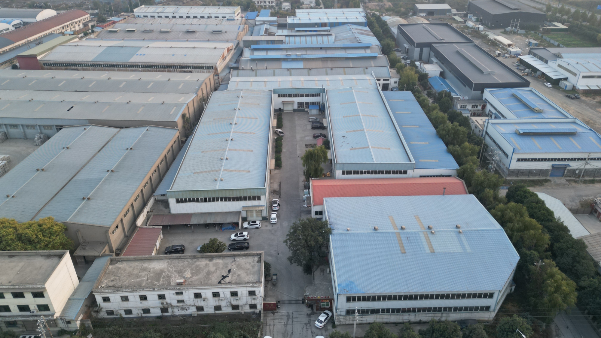 Company Profile