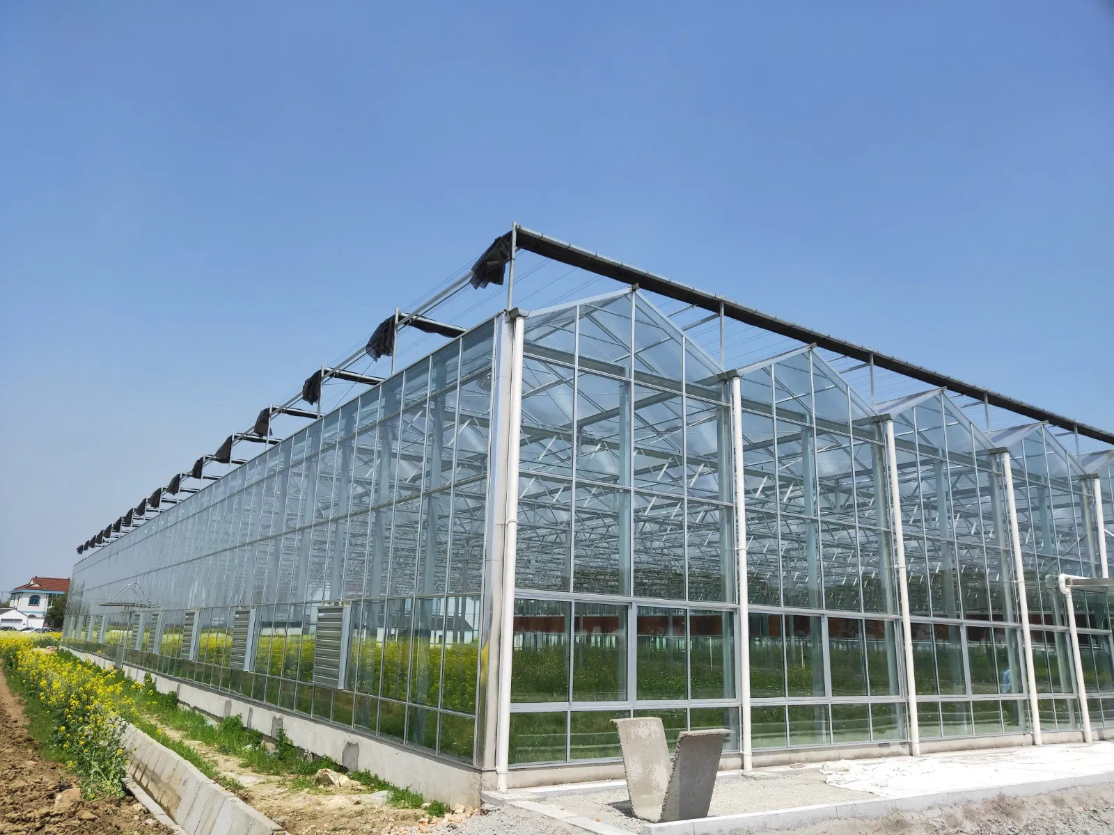 Glass Greenhouse, Smart Greenhouse, Film Greenhouse, Film Greenhouse Structure