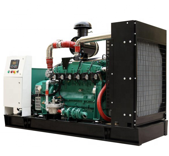 Clean Energy CHP Mini 5kW 8kW 10kW 50kW 100kW Biogas Power Plant Generator Set Sale with Factory Price