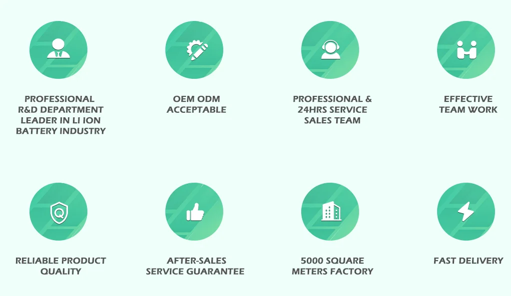 Company Growth and Certification Graph