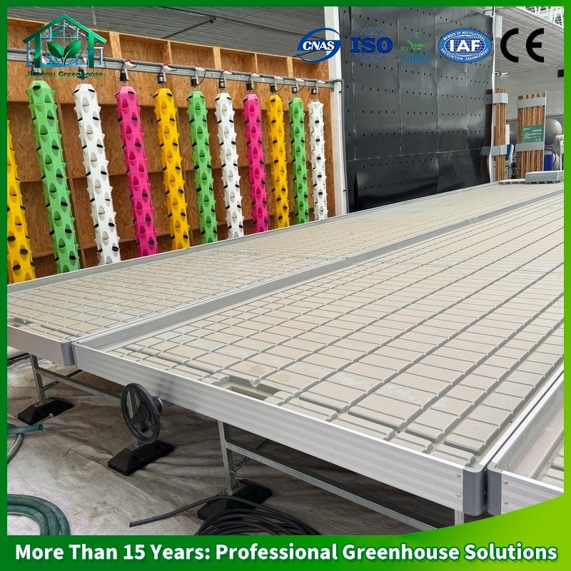 Complete Turnkey Project: Hydroponic Film Greenhouse for Bell Pepper Production