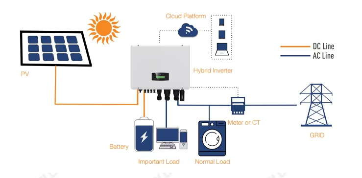System Details