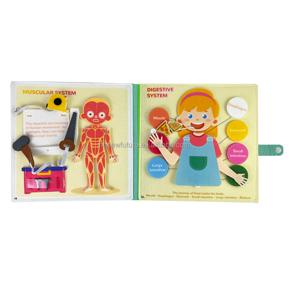 New Design Early Childhood Education Fabric Science Human Body Anatomy Books Learning About Body Structure Busy Book for Kids
