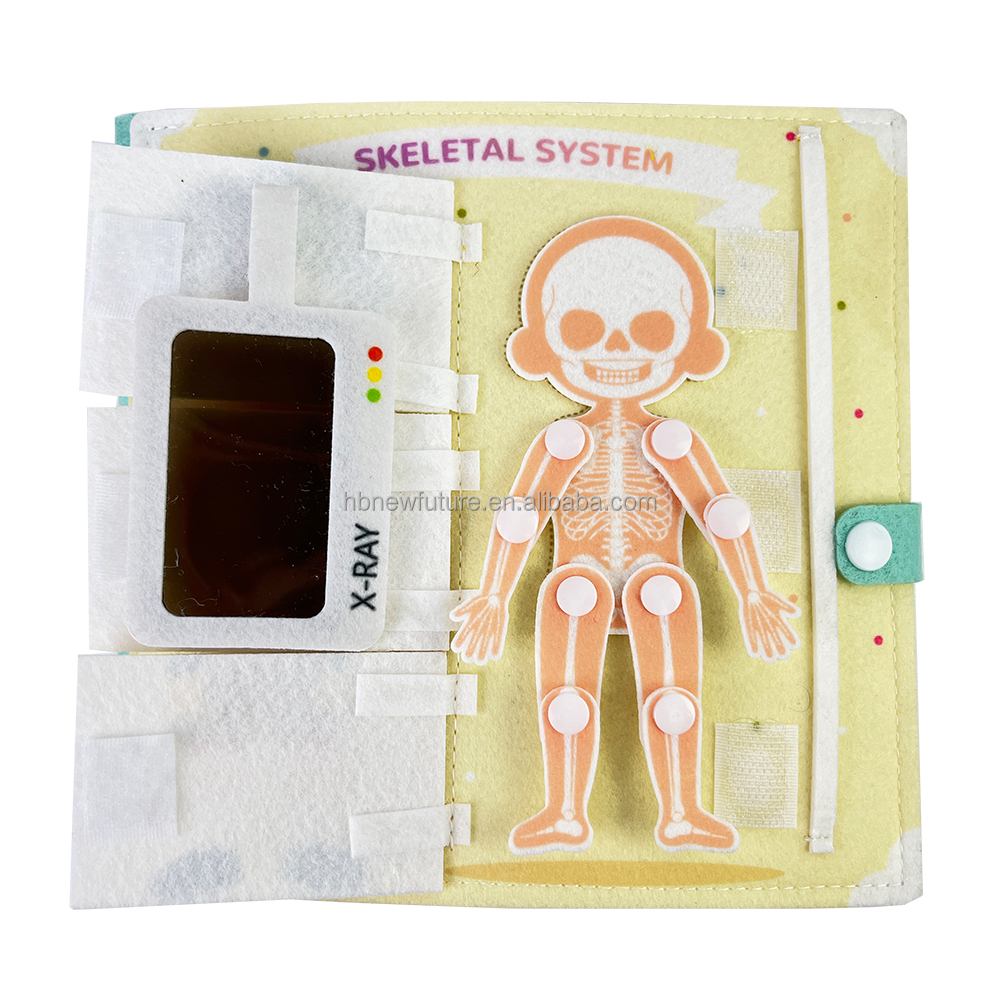 New Design Early Childhood Education Fabric Science Human Body Anatomy Books Learning About Body Structure Busy Book for Kids