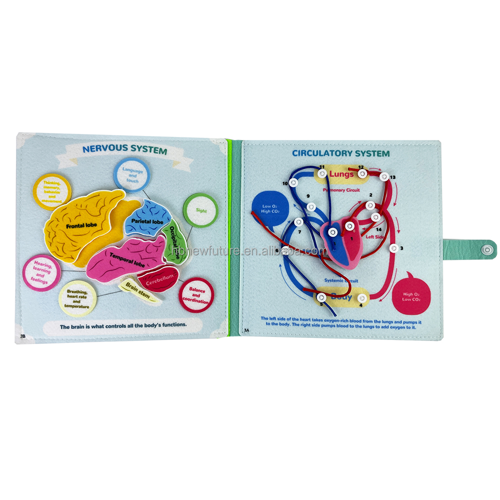 New Design Early Childhood Education Fabric Science Human Body Anatomy Books Learning About Body Structure Busy Book for Kids