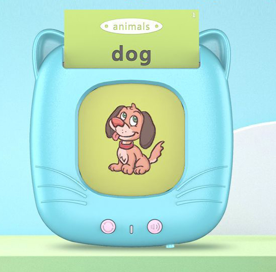 Kids Learning Toys English Language Learning Flash Card Machine