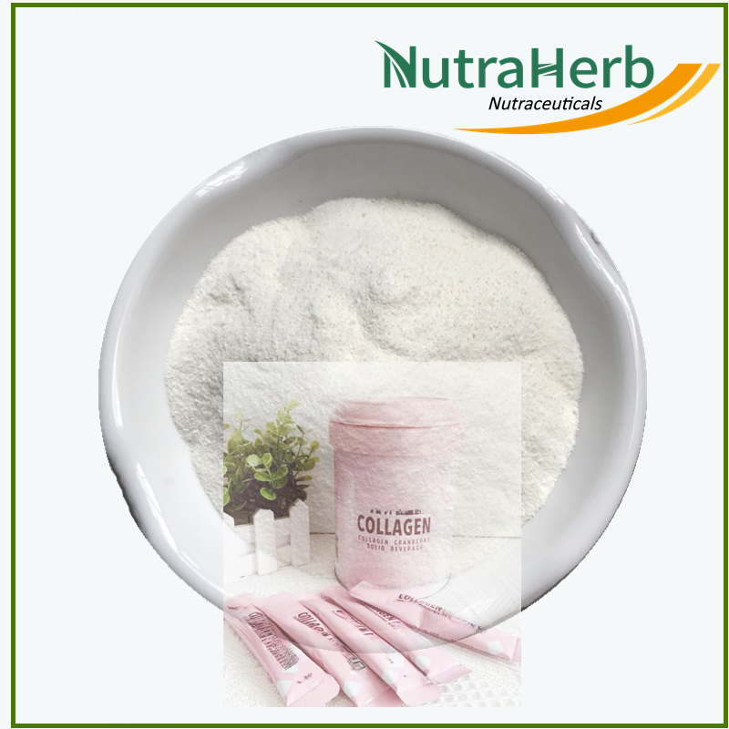 OEM Fish Peptides Powder Hydrolyzed Peptides Powder for Hair Skin Nail Vegan Fish Protein Powder in Bags for Gummmies