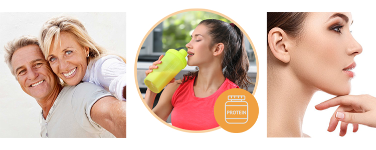 Applications of Bovine Collagen