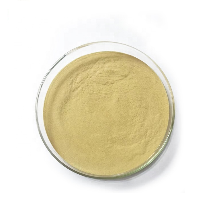 China Manufacturer Offer Hydrolyzed Yeast 50% Protein for Animal