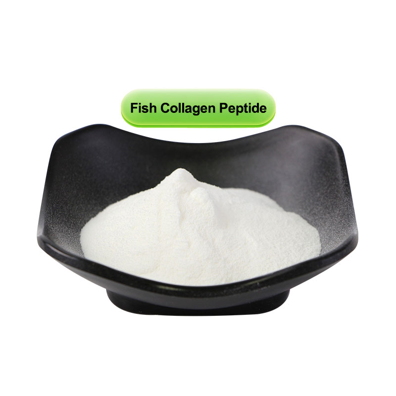 Factory Supply Hydrolyzed Food Grade High Purity 90% Protein Tilapia Fish Collagen Peptide Powder