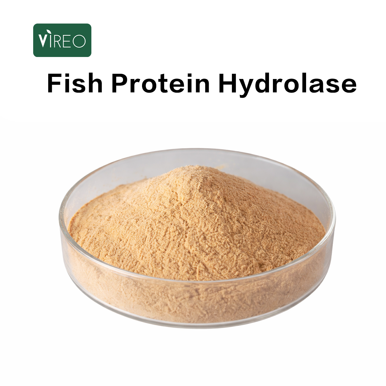 Factory Supply Complex Fish Proteinase Enzyme Fish Protein Hydrolysates Feed Grade Fish Hydrolytic Protease
