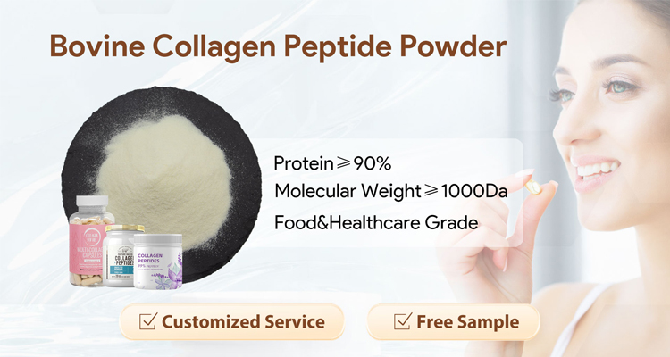 Wholesale ISO22000 and HACCP Certified 1000 Dalton Hydrolyzed Bovine Collagen Peptide Powder
