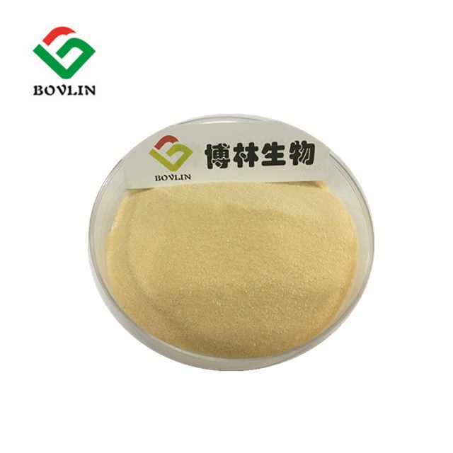 75% Wheat Peptide Oligopeptides Hydrolysed Hydrolyzed Wheat Protein Powder