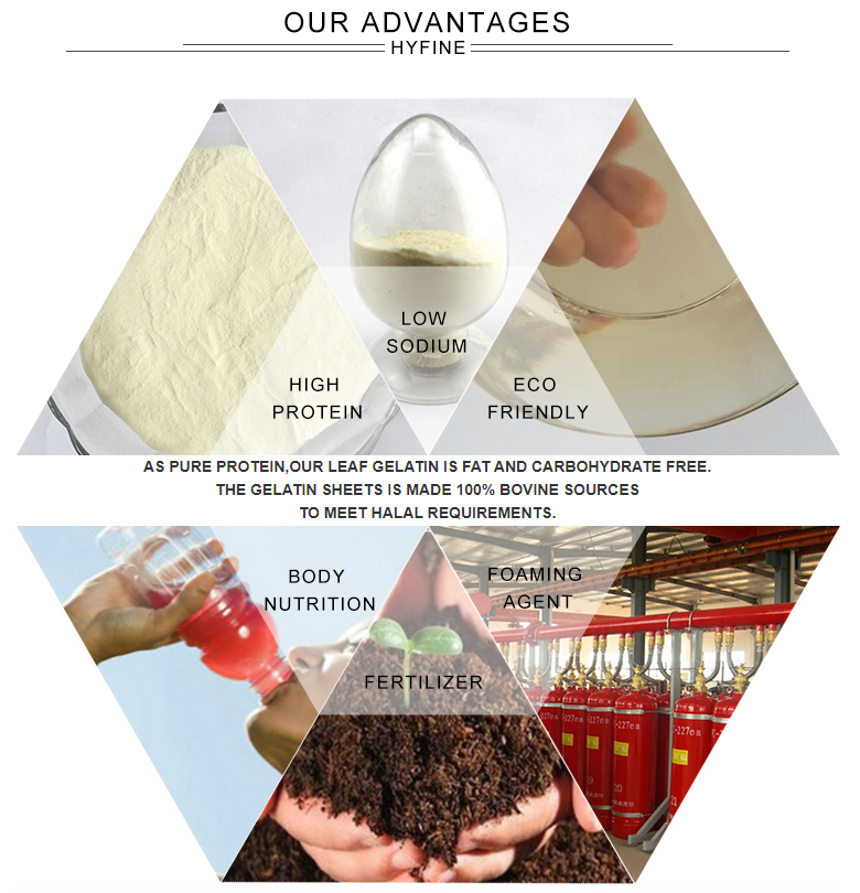 HALAL Hydrolyzed Beef Protein Powder Isolate