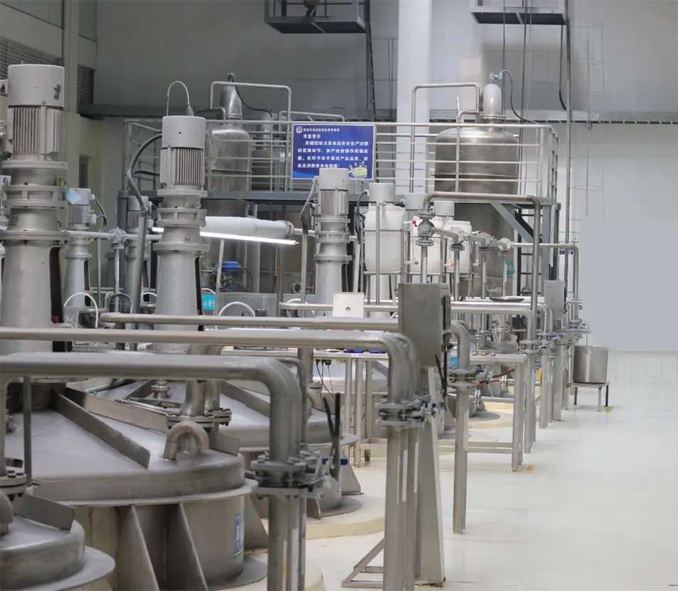 Non GMO Isolated Soy Protein Factory Display 3