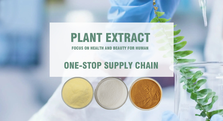 Wheat Protein Powder Banner