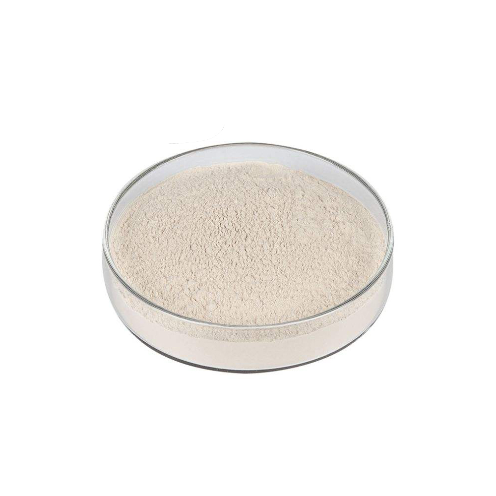 Hydrolyzed Wheat Protein Powder 80% Protein Content Beauty Product For Adults Food Grade Halal &amp; Kosher Certified