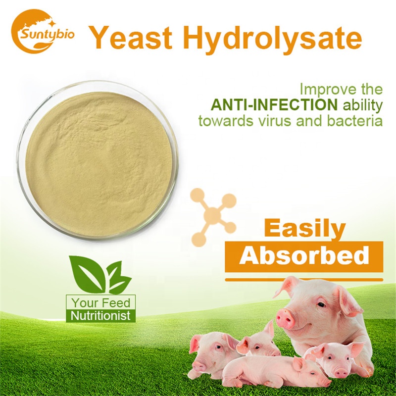 China Manufacturer Offer Hydrolyzed Yeast 50% Protein for Animal