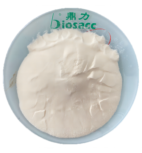 Bovine Hide Collagen Peptide Powder 800-2000 Dalton Low Molecular Weight Easy Absorption Food Grade Protein Supplement Beverages