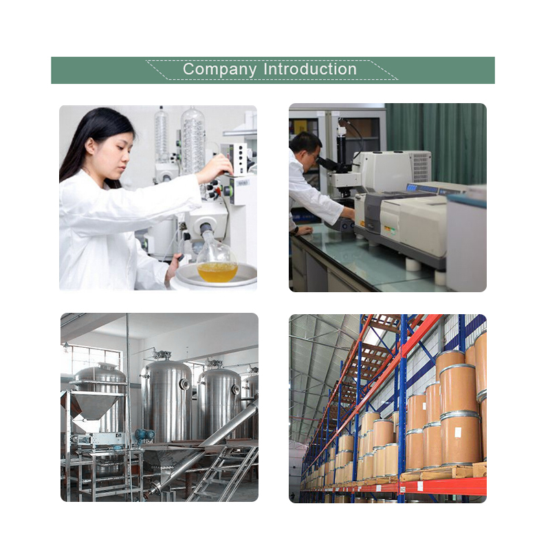 Hydrolyzed Wheat Protein Food Grade Wheat Protein Extract 80% Wheat Protein Powder