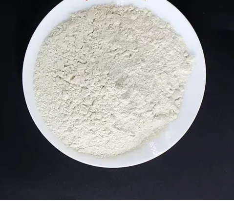 Protein Powder Body Building Hydrolyzed Whey Protein
