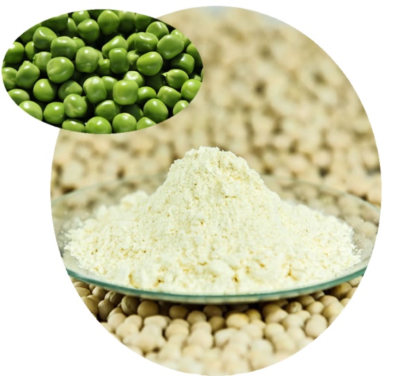 Organic Pea Protein/Isolated Pea Protein 80%-85% In Stock Fast Delivery