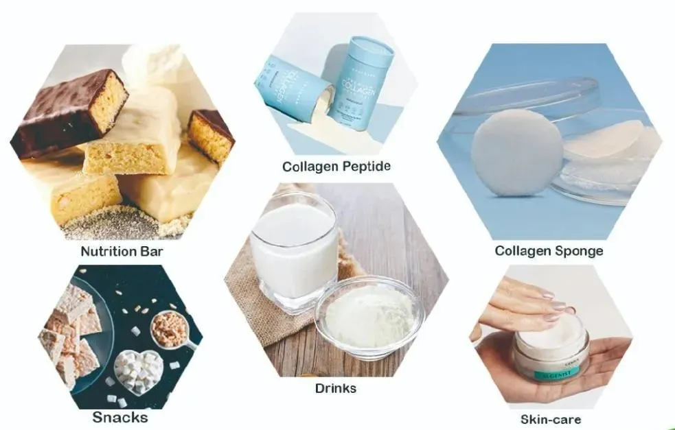 Pure Fish Collagen Peptides Collagen Powder Protein for Skin