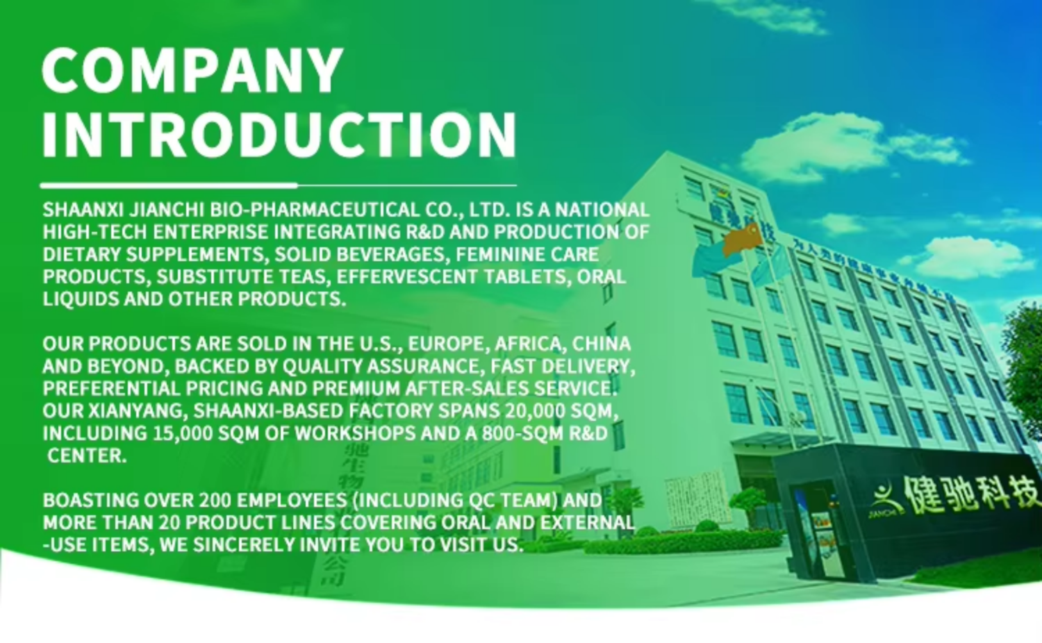 Company Overview 2