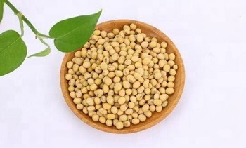 Hot Sale Hydrolyzed Isolated Soy Protein for Meat Products