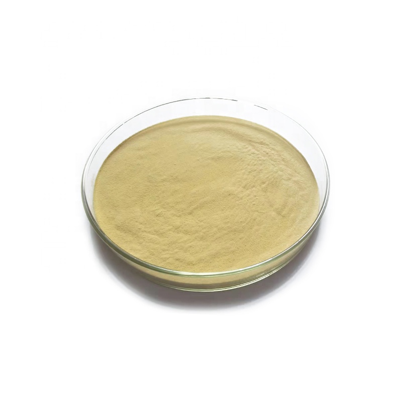 Yeast Product Processing