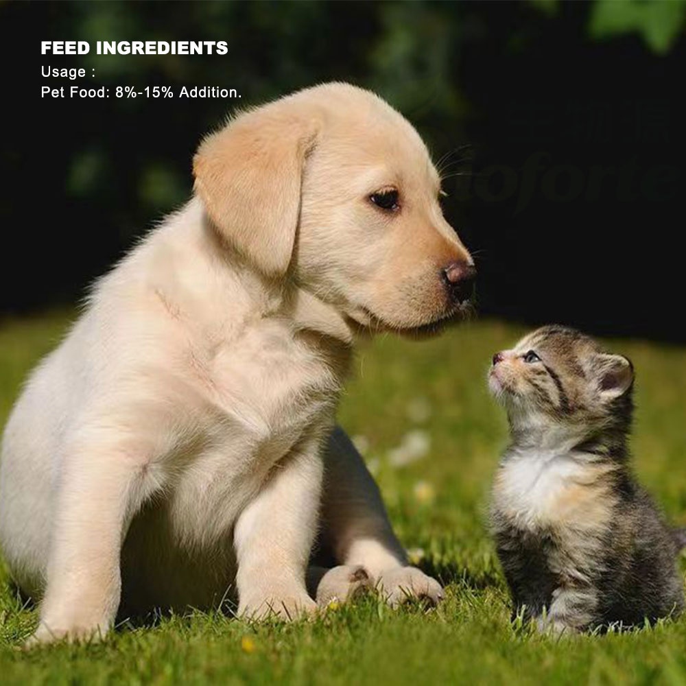 Bioforte Enzymatically Hydrolyzed Black Soldier Fly Peptide Powder High Protein Hypoallergenic Dog&amp;Cat Pet Feed Additive