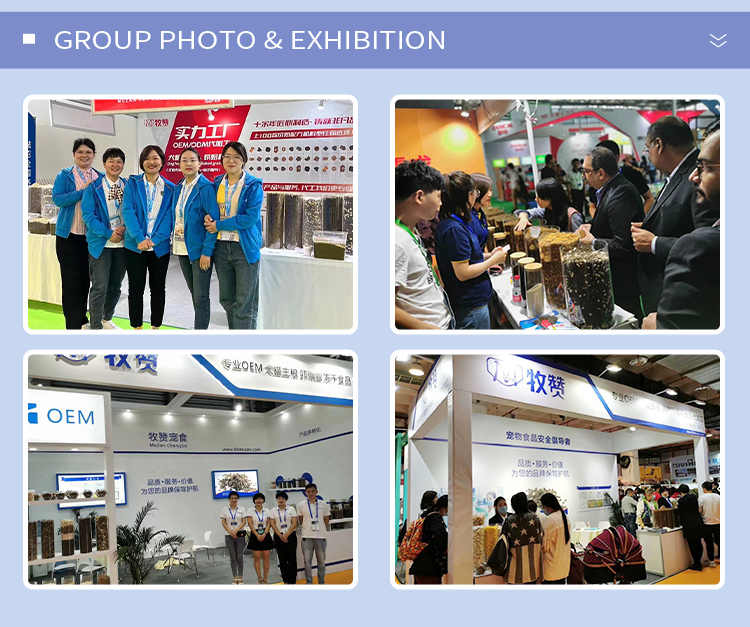 Exhibition Show 1
