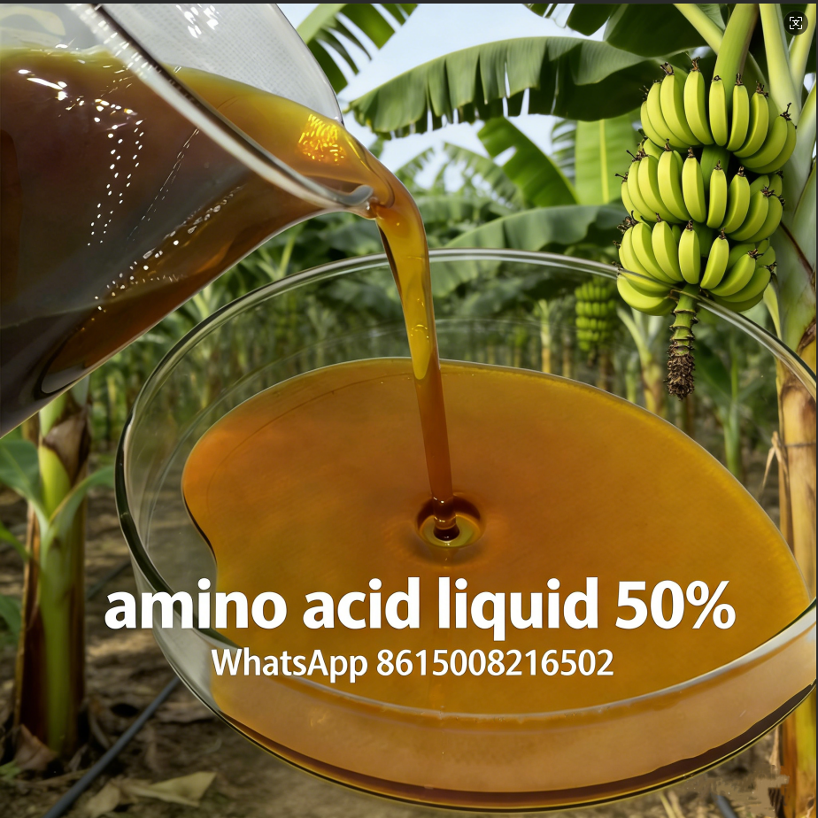 Liquid Amino Acid 50% Protein Hydrolysate Plant Source Nutrition Supplement Balanced Amino Acid Profile OMRI Certified