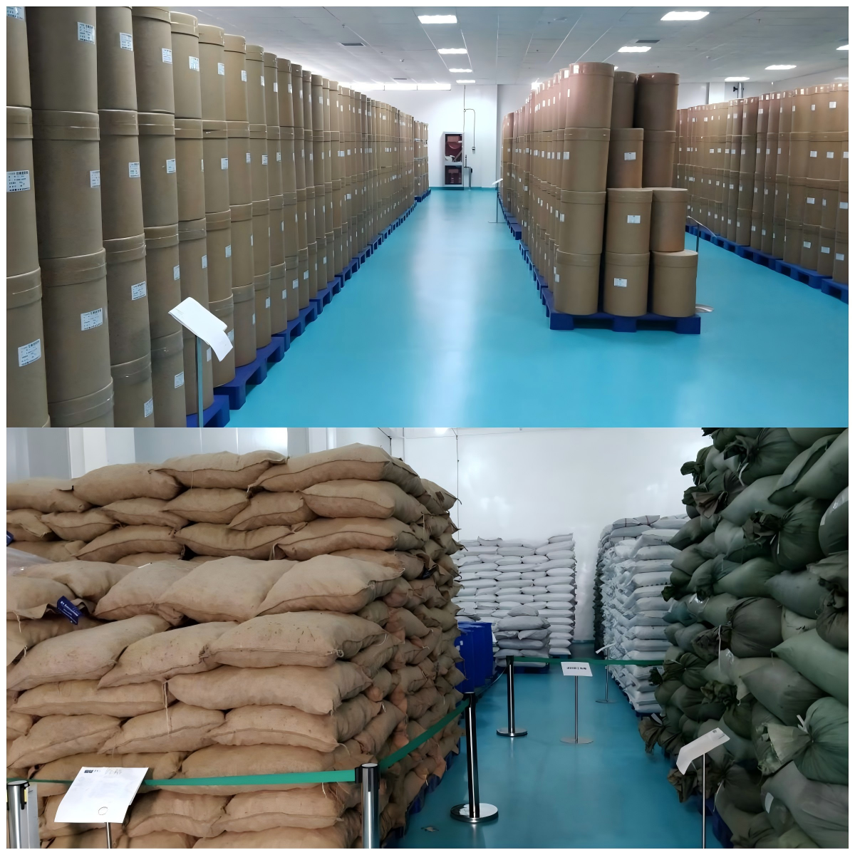 CAS 222400-29-5 Organic Pea Protein Wholesale Hydrolyzed Isolate Powder 80% 90% Non GMO ISO HALAL