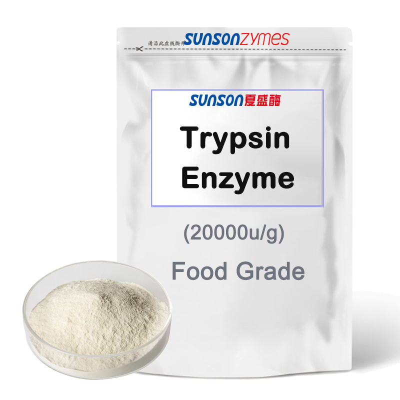 Trypsin Enzyme (20000u/g) for Seasoning Industry, Plant Protein Hydrolysis, Animal Protein Hydrolysis