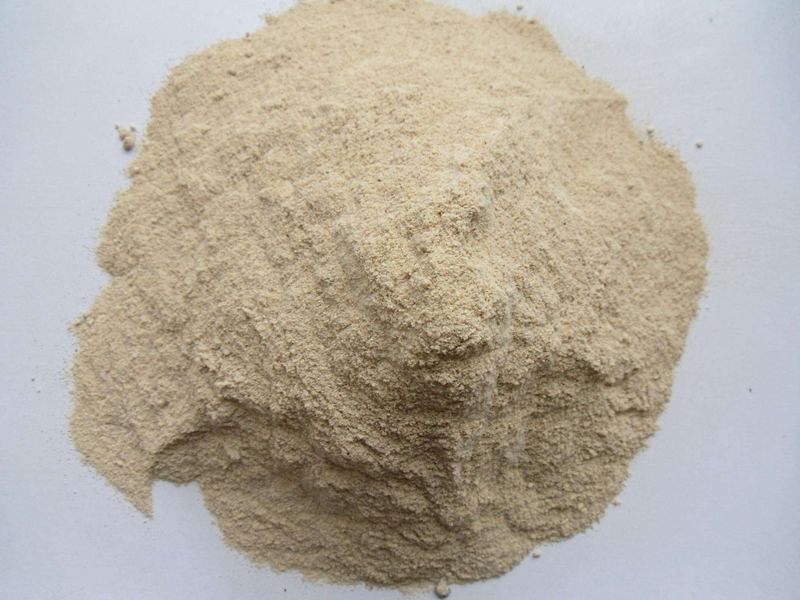 Rice Protein Powder 80% / Hydrolyzed Rice Protein Customized Package