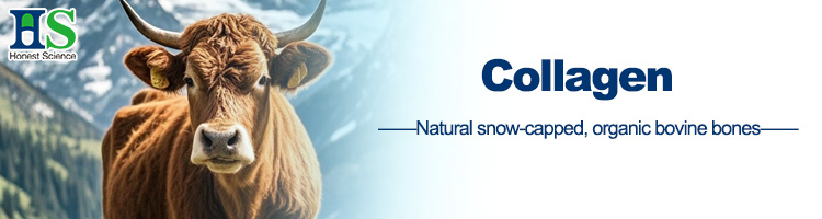 Hydrolyzed Collagen Peptides Banner