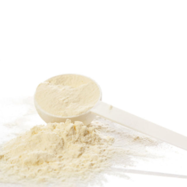 Sugar-Free Whey Protein Powder 24g Per Serving for Adults Not for Pregnant Women